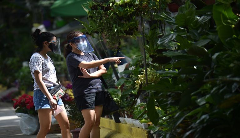 انتشار العناية بالحدائق في الفلبين