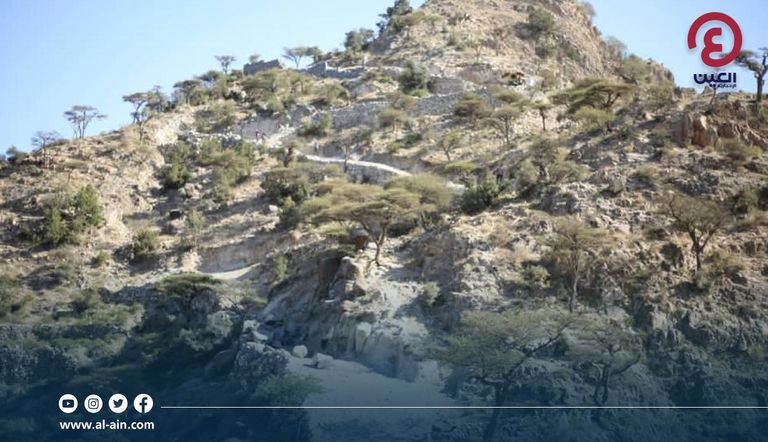 عملية تشييد الطرق في لحج اليمنية