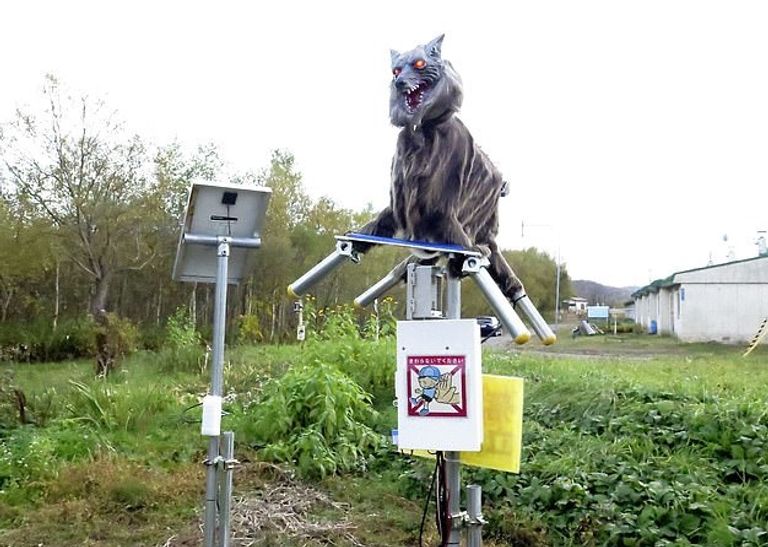 الذئب الآلي "مونستر وولف" الروبوت الذئب