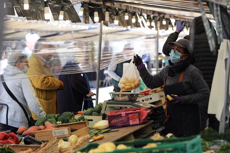 حيوان المنك