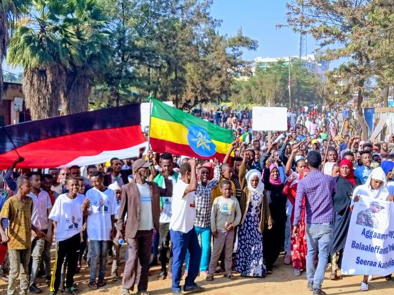 جانب من مسيرات الدعم للجيش الإثيوبي