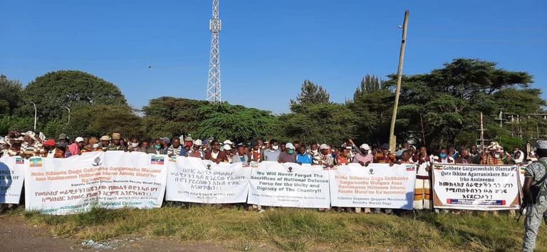 جانب من مسيرات الدعم للجيش الإثيوبي