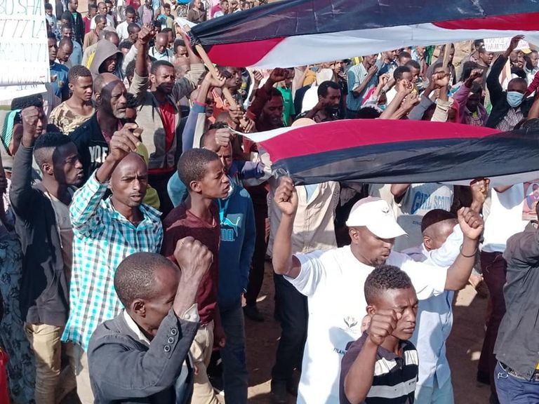 جانب من مسيرات الدعم للجيش الإثيوبي