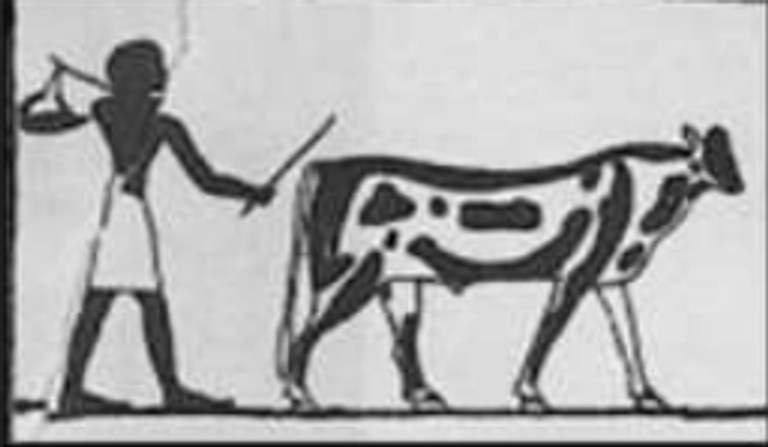 منظر لقربة الماء محمولة علي وتد 