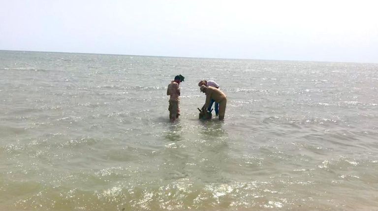 لغم بحري حوثي على أحد الشواطئ الجنوبية في اليمن