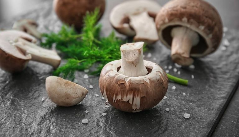 الفطر أو المشروم يقي من نزلات البرد - تعبيرية  الأطعمة التي تقاوم الإنفلونزا في الشتاء