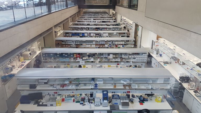 مدخل مركز زايد لأبحاث الأمراض النادرة لدى الأطفال