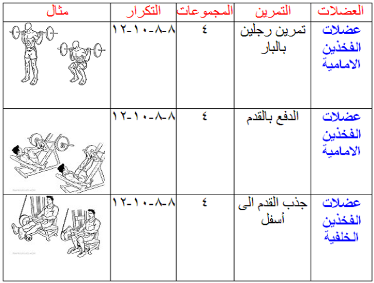 جدول تمارين الأسبوع الثالث في صالات اللياقة البدنية، وتشمل عضلات الفخذين الأمامية، ويكون التمرين رجلين بالبار، والدفع بالقدم، وعضلات الفخذين الخلفية ويكون التمرين جذب القدم إلى أسفل. تمارين رياضية للمبتدئين في الجيم
