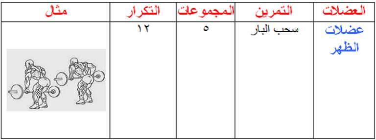 جدول تمارين الأسبوع الرابع في الجيم، وتشمل عضلات الظهر، ويكون التمرين سحب البار. تمارين رياضية للمبتدئين في الجيم