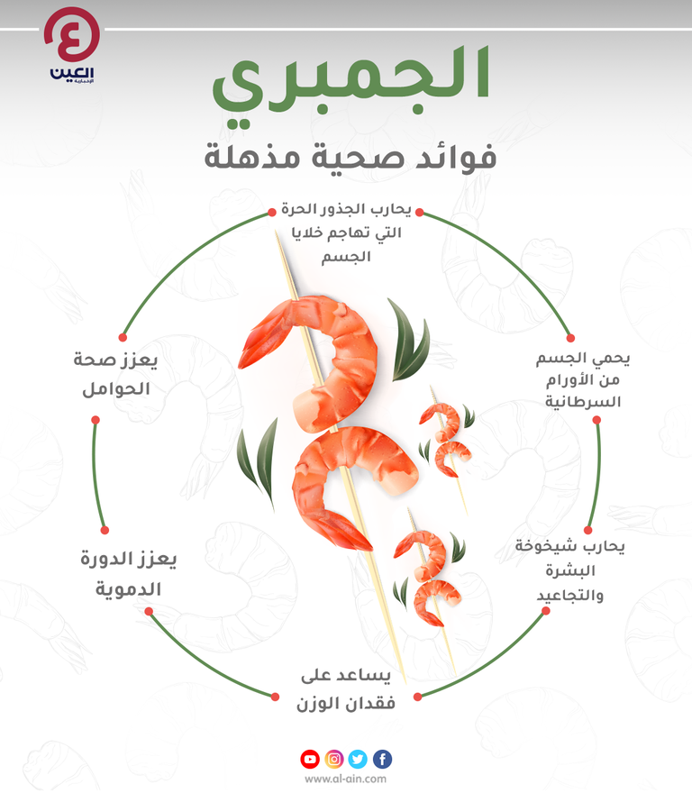 إنفوجراف "العين الإخبارية" يستعرض الفوائد الصحية للجمبري الجمبري يتمتع بفوائد صحية عديدة