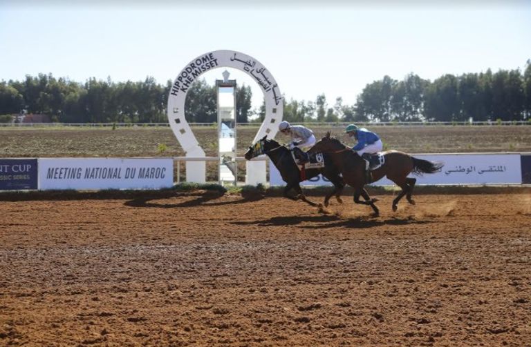 كأس رئيس دولة الإمارات للخيول العربية الأصيلة المهر المغربي "استقبال آر إم"