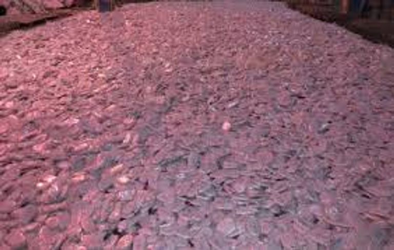 جانب من الشحنة المضبوطة