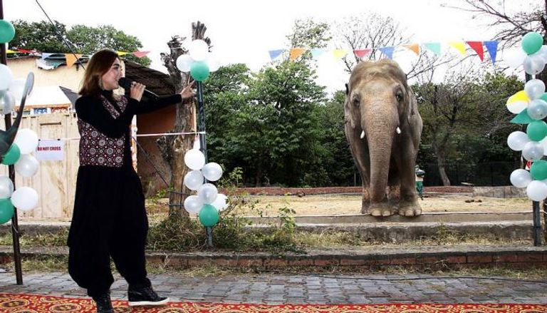 حفلة وداع لفيل في باكستان