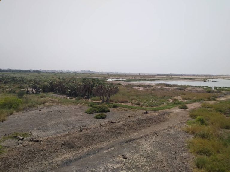 البيئة.. ضحية الحرب الحوثية على عدن