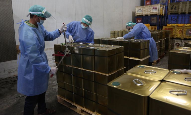 عمال فلسطينيون يجهزون أول شحنة زيت للتصدير