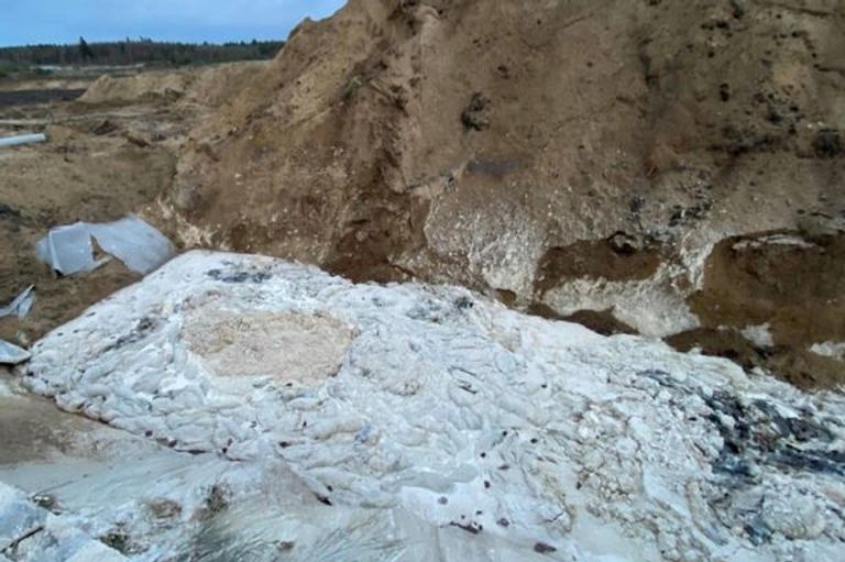 حيوانات المنك تخرج من المقابر الجماعية في الدنمارك