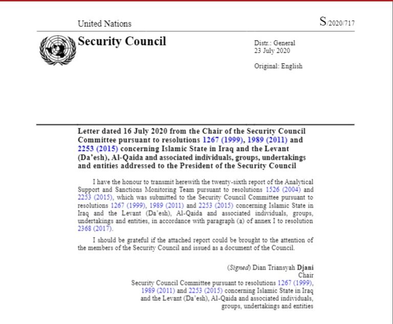 أحد عناصر داعش - نورديك مونيتور