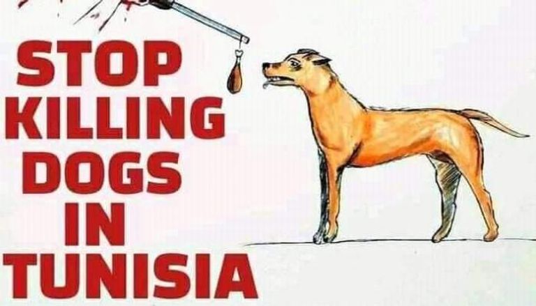 حملة لا تقتلوا الكلاب في تونس