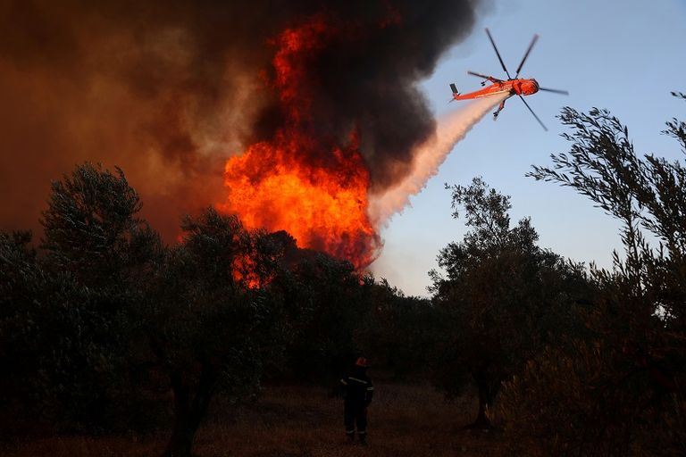 المشاركون في مؤتمر باريس عام 2015