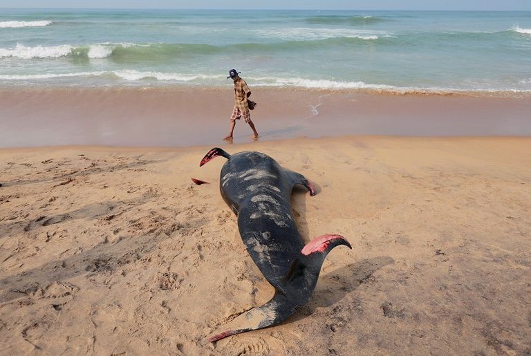 المشاركون في مؤتمر باريس عام 2015