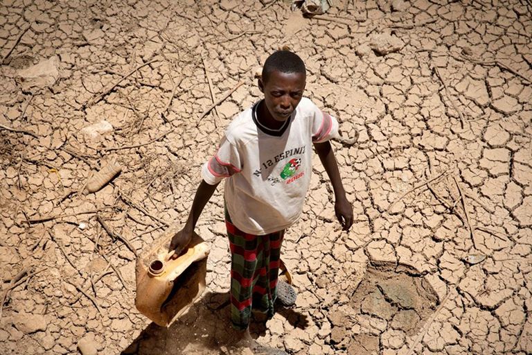 الصومال واجه صدمة ثلاثية تمثلت في الجراد والفيضانات وكورونا