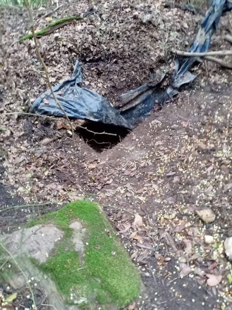 مخبأ الإرهابيين الذين تم القضاء عليهم بولاية جيجل