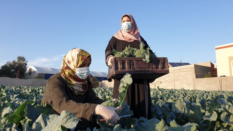 خريج بغزة يكسر قيود البطالة بصناعة الأنتيكات