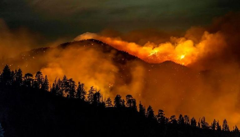 لقطة من الحرائق التي شهدها الكوكب خلال 2020