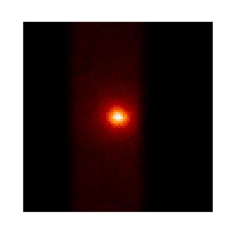 الشيخ محمد بن راشد آل مكتوم