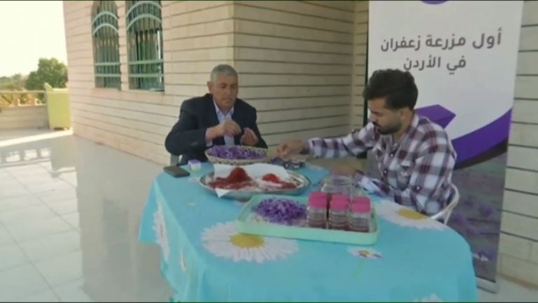 الزعفران يطلق عليه "الذهب الأحمر"