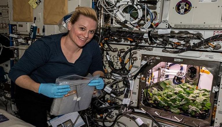 رائدة الفضاء كيت روبينز بجوار نبات الفجل 