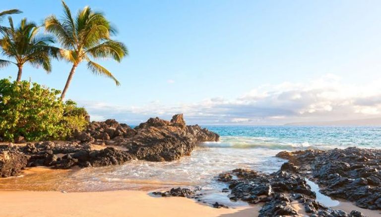 رحلات مجانية ذهاباَ وإياباً للموظفين عن بعد في هاواي