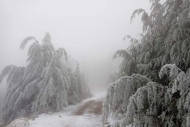 مدن الجزائر تكتسي الحلة البيضاء بالثلوج مدن الجزائر تكتسي الحلة البيضاء بالثلوج