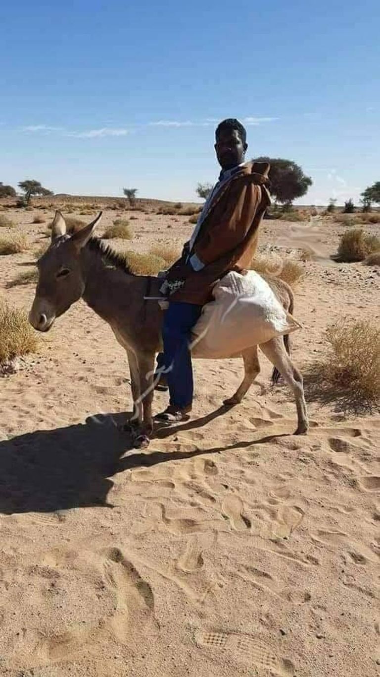 شاب جزائري آخر من جنوب البلاد قرر الالتقاء بياسر عبر رحلة بالحمار الشاب الجزائري ياسر مع الحمار في مغامرة السير 2300 كيلومتر