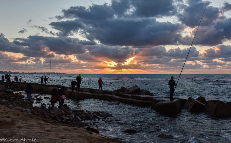 شباب يصطادون على بحر بير مسعود - منطقة سيدي بشر