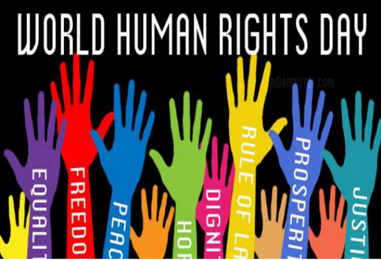 شعار يوم حقوق الإنسان 2020