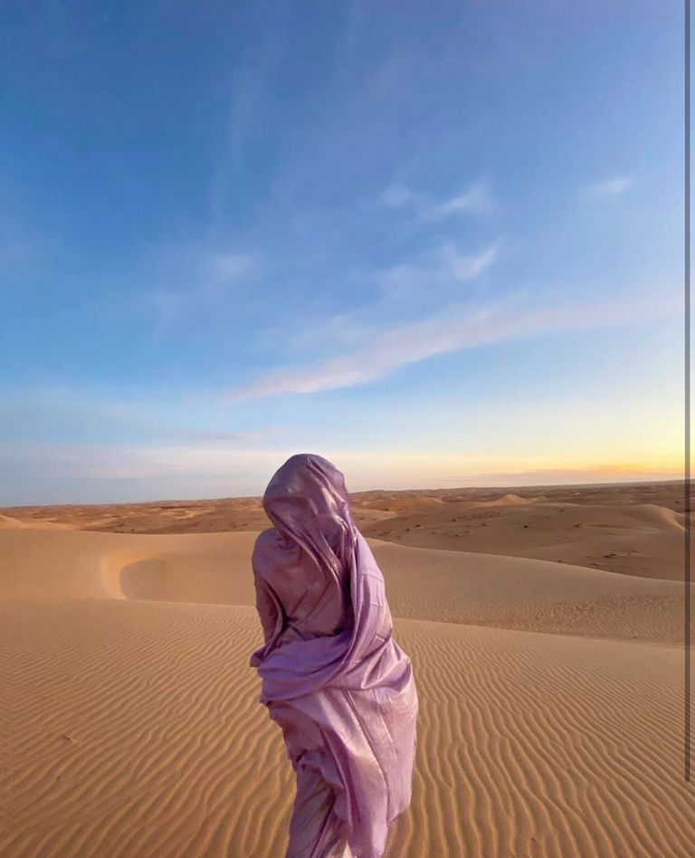 جانب من اجتماع اللجنة الوزارية الموريتانية