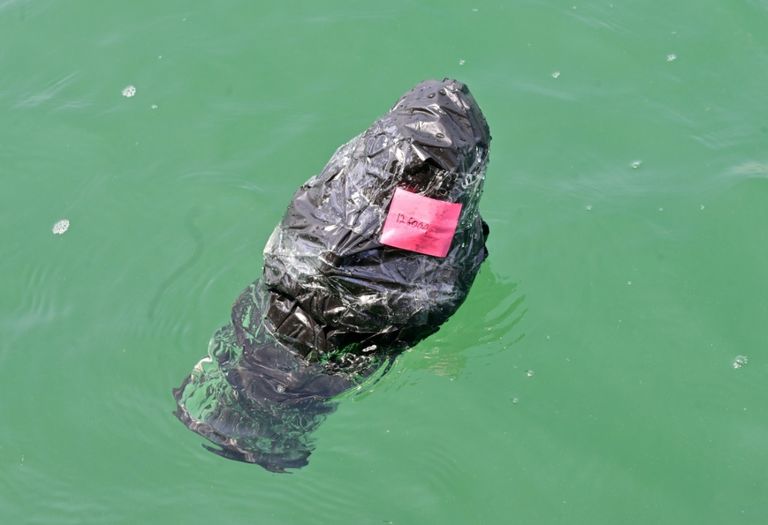 رجل يرمي عوّامة رصد في البحر قبالة تيلوك ناجا بإندونيسيا