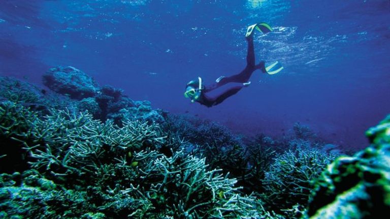 اللؤلؤ يصبح صلبا بعد الخروج من المحار