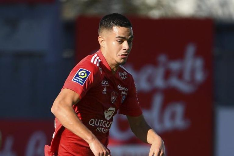 رومان فايفر  