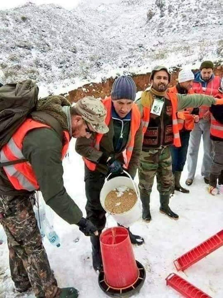 نثر الحبوب عادة أمازيغية قديمة بالجزائر لإنقاذ الطيور مع تساقط الثلوج