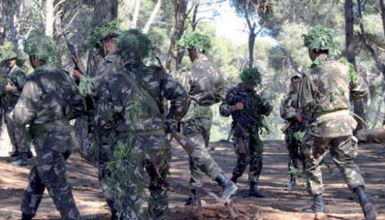 قوات الجيش الجزائري خلال عملية عسكرية ضد فلول الإرهاب - أرشيفية