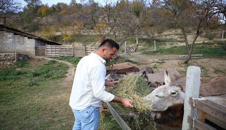 حليب الحمير له مزايا مناعية عدة