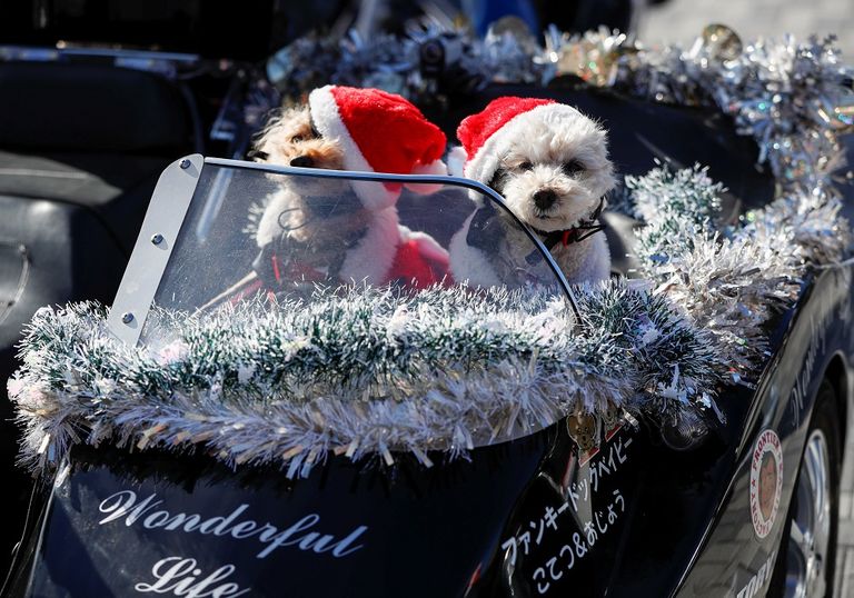 سائقو دراجات نارية في زي بابا نويل للتنديد بالإساءة للأطفال في طوكيو
