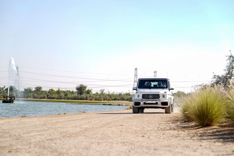 الشيخ محمد بن راشد آل مكتوم والشيخ محمد بن زايد آل نهيان