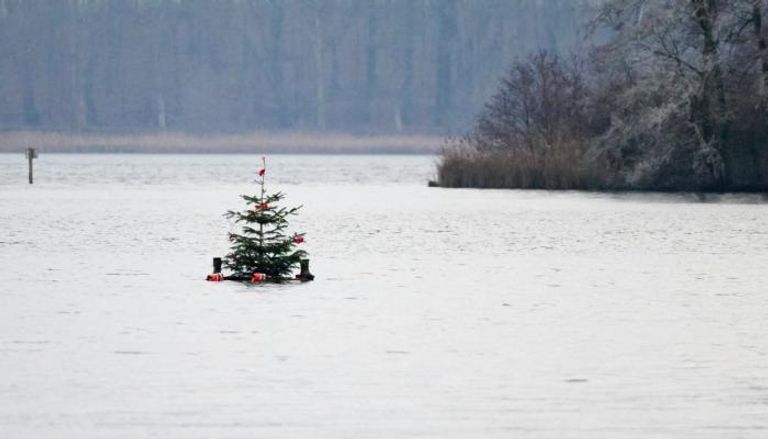 ألمانيا.. خطة احتفالات عيد الميلاد تنتهي بغرق شخص ونجاة الشجرة