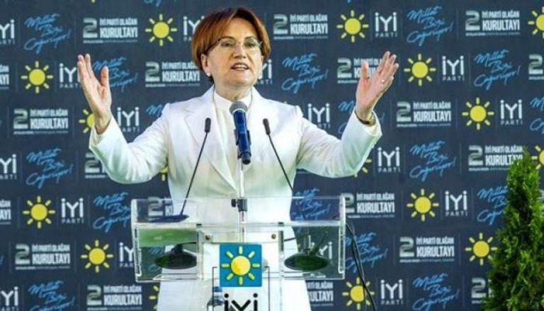 المعارضة التركية ميرال أكشينار