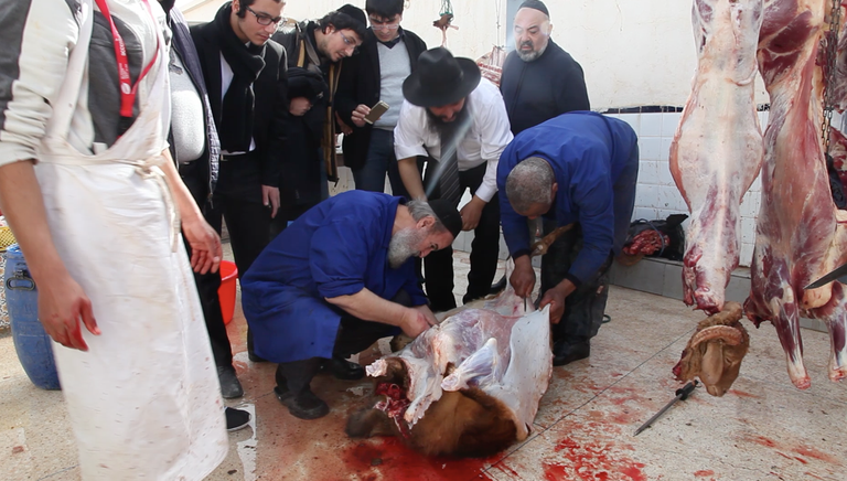 الهيلولة هي احتفال ديني يهودي