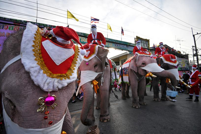 أحد الأفيال يوزع الهدايا على الأطفال