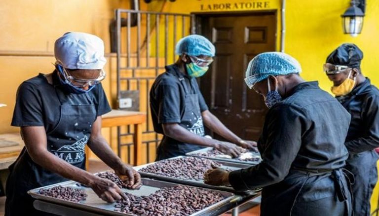 صناعة الشوكولاتة في هايتي